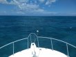 Sunday July 19th 2020 Tropical Serenity: Minnow Cave reef report photo 1