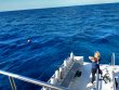 Saturday December 19th 2020 Tropical Voyager: Molasses Reef reef report photo 1