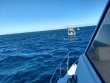 Sunday December 27th 2020 Tropical Voyager: Drift Molasses reef report photo 1