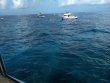 Saturday June 20th 2020 Tropical Voyager: Winch Hole reef report photo 1