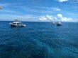 Sunday June 21st 2020 Tropical Voyager: Eagle Ray Alley reef report photo 1