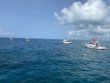 Monday June 29th 2020 Tropical Voyager: Molasses Reef reef report photo 1