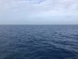Monday January 4th 2021 Santana: Spiegel Grove reef report photo 1