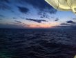 Thursday January 7th 2021 Santana: Eagle Ray Alley reef report photo 1