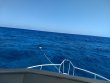 Friday March 26th 2021 Santana: Permit Ledges reef report photo 1