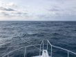 Saturday April 10th 2021 Santana: French Twist reef report photo 1