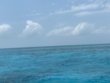 Monday April 19th 2021 Santana: Sand Island reef report photo 1