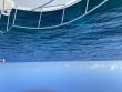Thursday May 6th 2021 Santana: North Star reef report photo 1