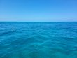 Tuesday May 11th 2021 Santana: Snapper Ledge reef report photo 1