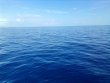 Sunday July 25th 2021 Tropical Adventure: Spiegel Grove reef report photo 2