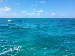 Tuesday April 27th 2021 Tropical Destiny: Fire Coral Cave reef report photo 1