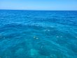 Thursday May 6th 2021 Tropical Destiny: Winch Hole reef report photo 1