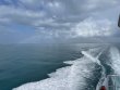 Friday July 23rd 2021 Tropical Destiny: Spiegel Grove reef report photo 1