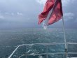 Tuesday August 3rd 2021 Tropical Destiny: Sand Island reef report photo 1