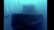Thursday August 5th 2021 Tropical Destiny: USCGC Duane reef report photo 1
