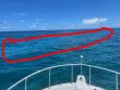 Thursday August 5th 2021 Tropical Destiny: Elbow Reef reef report photo 1