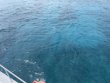 Saturday September 4th 2021 Tropical Destiny: Elbow Reef reef report photo 2