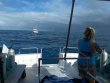 Monday March 29th 2021 Tropical Explorer: Molasses Reef reef report photo 1
