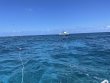 Friday April 30th 2021 Tropical Explorer: Fire Coral Cave reef report photo 1