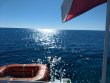 Wednesday January 6th 2021 Tropical Legend: Minnow Cave reef report photo 1