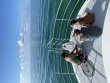 Saturday May 29th 2021 Tropical Legend: Eagle Ray Alley reef report photo 1