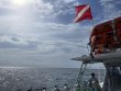 Sunday June 20th 2021 Tropical Legend: Benwood Wreck reef report photo 3