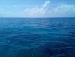 Friday July 23rd 2021 Tropical Legend: Conch Pillars reef report photo 1