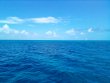 Thursday October 14th 2021 Tropical Legend: Permit Ledges reef report photo 3