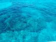Thursday May 27th 2021 Tropical Odyssey: Pickle Barrel Wreck reef report photo 1