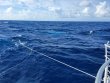 Friday June 25th 2021 Tropical Odyssey: USCGC Duane reef report photo 3