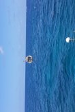 Friday July 16th 2021 Tropical Odyssey: French Reef reef report photo 1