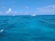 Tuesday July 20th 2021 Tropical Odyssey: French Reef reef report photo 1