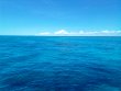 Friday August 20th 2021 Tropical Odyssey: French Reef reef report photo 2