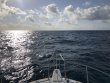 Friday March 26th 2021 Tropical Serenity: French Twist reef report photo 1