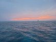 Tuesday April 20th 2021 Tropical Serenity: Molasses Reef reef report photo 1