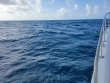 Friday July 9th 2021 Tropical Serenity: ChristmasTree Cave reef report photo 2
