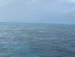 Wednesday July 14th 2021 Tropical Serenity: Christ Statue reef report photo 1