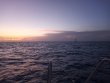 Saturday August 21st 2021 Tropical Serenity: Molasses Reef reef report photo 1