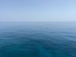 Wednesday September 1st 2021 Tropical Serenity: Eagle Ray Alley reef report photo 1