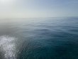 Friday September 3rd 2021 Tropical Serenity: Pickles Reef reef report photo 1