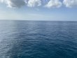 Monday September 6th 2021 Tropical Serenity: Molasses Reef reef report photo 1