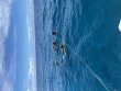 Monday April 18th 2022 Tropical Adventure: Molasses Reef reef report photo 1