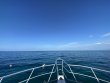 Friday June 10th 2022 Tropical Adventure: Pickles Reef reef report photo 1