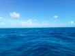 Wednesday June 22nd 2022 Tropical Adventure: French Twist reef report photo 1