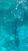 Friday January 14th 2022 Tropical Destiny: Spiegel Grove reef report photo 1