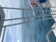 Thursday March 10th 2022 Tropical Destiny: Molasses Reef reef report photo 1