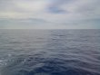 Sunday May 29th 2022 Tropical Destiny: USCGC Duane reef report photo 2