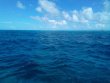 Sunday July 10th 2022 Tropical Destiny: USCGC Duane reef report photo 1