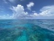 Friday July 22nd 2022 Tropical Destiny: Molasses Reef reef report photo 2