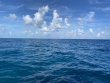 Tuesday November 22nd 2022 Tropical Legend: Benwood Wreck reef report photo 1
